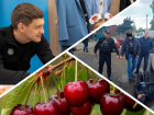 Новости Запорожья: катастрофа из-за гибели посевов, убийство отца и эвакуация из села под Запорожьем