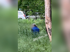 Запорожцы продолжают гадить в общественных местах