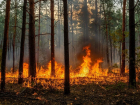 Чрезвычайная пожарная опасность ожидается в Запорожской области 
