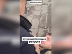 Появилось видео, как полицейский набросился на военного ВСУ средь бела дня в Запорожье