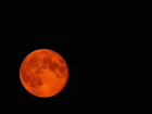 Удивительную кровавую Луну смогут увидеть жители Запорожской области