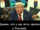 Дональд Трамп: с Зеленским договориться труднее, чем с Путиным