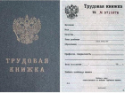 О важном требовании по оформлению российской трудовой книжки рассказали запорожцам 