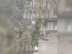 «Слава богу, людей рядом не было»: первые последствия жуткого ветра показали на видео в Мелитополе
