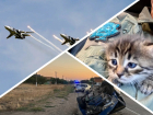 Новости Запорожья: котёнка спасли из минной ловушки, ДТП с пострадавшими подростками и дата окончания СВО