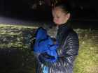 В Запорожье пожарные спасли котика