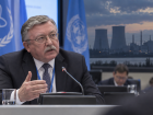 Ульянов: Киев развернул кампанию по уничтожению сотрудников Запорожской АЭС и их семей 