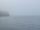Штормовое предупреждение из-за тумана объявлено в Запорожской области