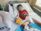 Бездомная собака напала на мальчика в Каменке-Днепровской