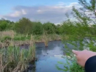 Экологическая катастрофа в Запорожье: в сети появилось видео загрязнённой мазутом реки