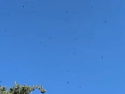 Появилось видео, как обломки украинских дронов посыпались с неба при защите Мелитополя