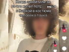 Юный «Человек-паук» предложил совокупиться пожилой даме в мелитопольском парке 
