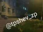В Запорожье пьяный военный напал на подростков с пистолетом и перцовым баллоном