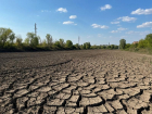 Метеорологи бьют тревогу: Запорожье ждёт засуха и опустынивание