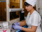 На вопрос о выплатах медработникам за опасные условия ответили в Минздраве Запорожской области