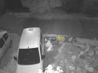 Ночного мстителя, прокалывающего шины соседям, сняли на видео в Запорожье