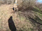 «Давай убьём его»: экшн-камера засняла отношение украинских военных к раненому сослуживцу в Запорожской области
