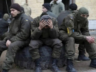 ТАСС: военные ВСУ на запорожском направлении считают себя брошенными