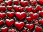 Какие подарки лучше всего дарить на 14 февраля своим вторым половинкам