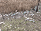 Экологи потребовали у запорожских властей убрать свалку на берегу реки