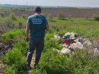 Женщина пожаловалась экологам на огромные завалы мусора в Запорожье