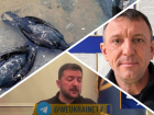Новости Запорожья: контроль над ЗАЭС, обвинение генерала Попова и бессилие учёных
