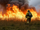 Более 1 гектара сухой травы сгорело в Запорожской области