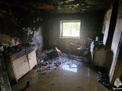 Жилой дом полностью выгорел в запорожском селе - опубликованы кадры МЧС