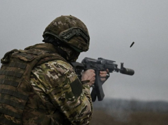 Как российские дроноводы сорвали контратаку ВСУ в Гуляйполе