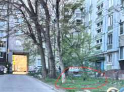 Труп неизвестного мужчины напугал жителей Запорожья