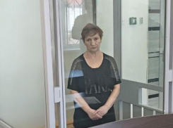 За удар в спину ножом женщине из запорожского села дали 8 лет колонии