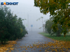 Дождь и туман накроют Запорожскую область 11 ноября