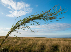 Штормовое предупреждение объявлено в Запорожской области из-за сильного ветра