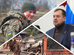 Новости Запорожья: Балицкий поддержал немецкую оппозицию, смерть «валькирии» Зеленского и опасный шквалистый ветер