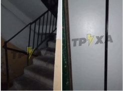 Пыталась докричаться до сына на мове, а тот её не понял: неловкая ситуация случилась в запорожской многоэтажке