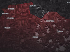 Элитные части ВСУ переброшены для контрудара на Запорожском фронте СВО