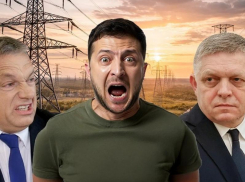 Новости СВО: Орбан и Фицо «взяли» Зеленского за горло, фронт рухнет за неделю, когда ВС РФ двинут на Запорожье 