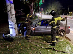 Легковушка вспыхнула после ДТП с деревом в Мелитополе