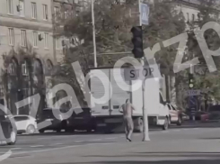Полуголый запорожец со свистком возомнил себя инспектором ГАИ и попал на видео 