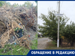 «Могилы утопают в мусоре»: читательница «Блокнота» показала огромную свалку на кладбище в запорожском селе