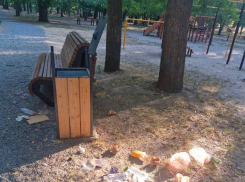 Превращающие “эко-парк” в свалку подростки возмутили жителей Мелитополя