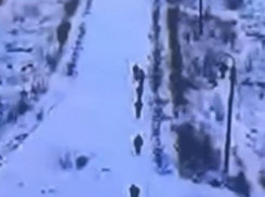 Момент сдачи группы военных ВСУ в плен под Гуляйполем попал на видео