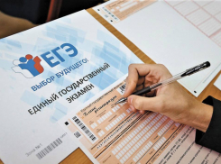 Почти 500 школьников из Запорожской области сдадут ЕГЭ в 2025 году