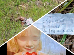 «Может избежать тюрьмы»: неожиданный поворот в деле 14-летней маньячки из Бердянска