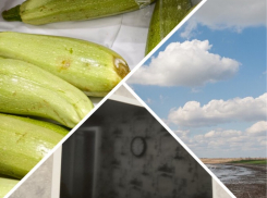 Новости Запорожья: мелитопольский супермаркет торгует гнилыми овощами, отключение кабельного ТВ и спасение Молочного лимана