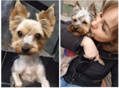 Новая беда случилась с мамой сбитой экс-прокурором в Мелитополе Лизы Мелиховой