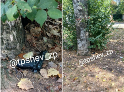 Какое опасное оружие нашли подростки в Запорожье