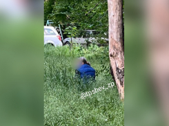 Запорожцы продолжают гадить в общественных местах