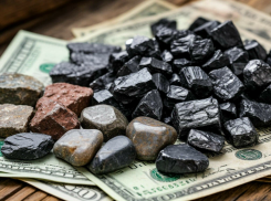 Киевские власти решили с молотка продать ресурсы Запорожья