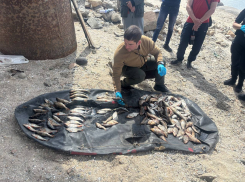 Запорожца уличили в незаконном вылове рыбы почти на полмиллиона рублей